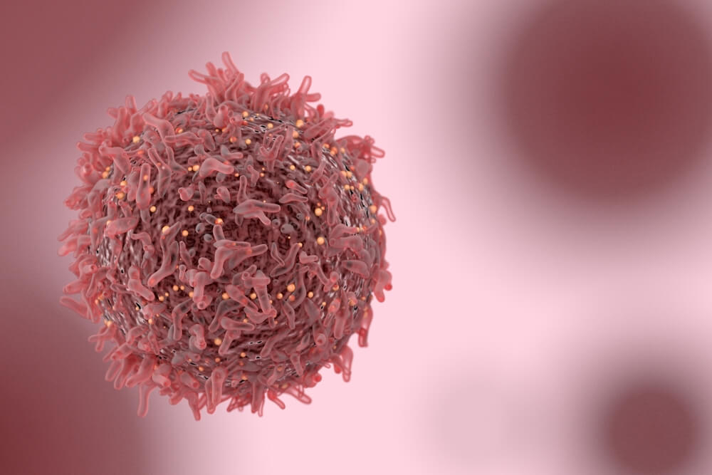 Close-up of cancer cell. 